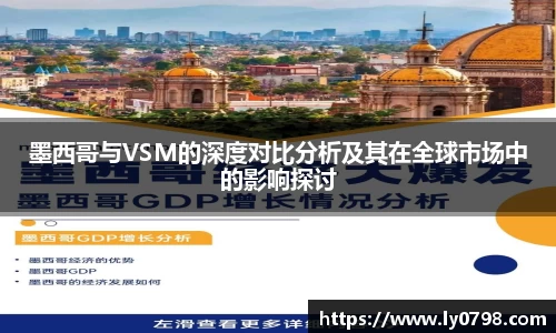 墨西哥与VSM的深度对比分析及其在全球市场中的影响探讨